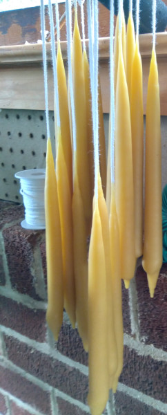 Two dipped beeswax candles (tapers)